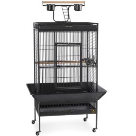 Large Select Wrought Iron Play Top Bird Cage (Option: Coco Brown)